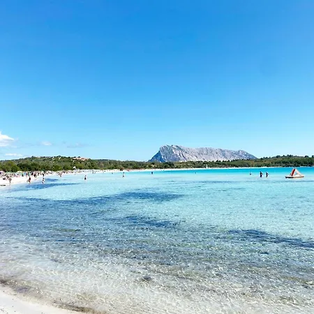 Casa Borghi - Villaggio Oasy San Tedoro * San Teodoro (Sardinia)